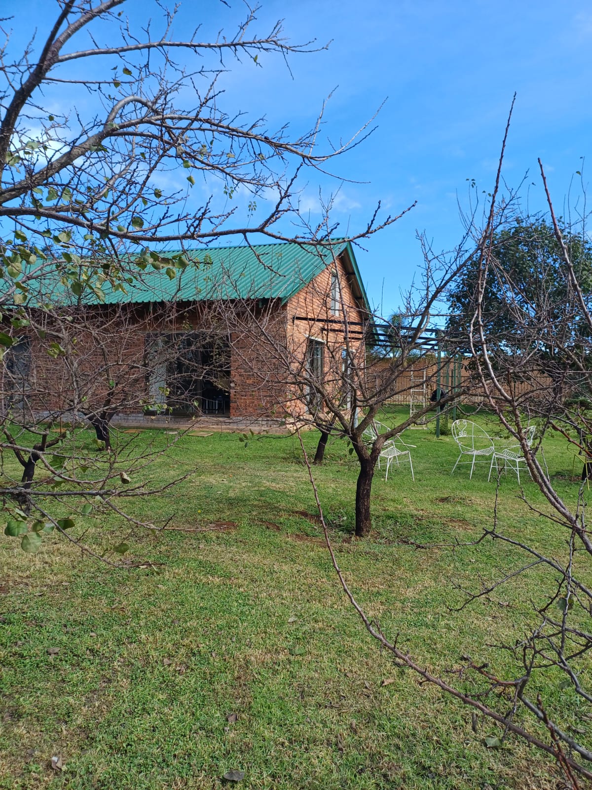 WhatsApp Image 2026-04-24 at 12.51.37 (1).jpeg