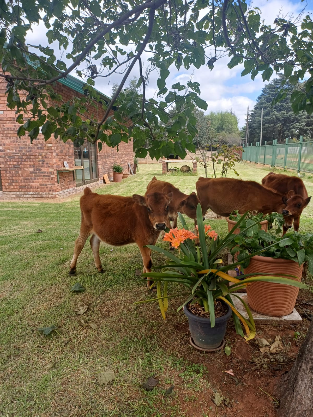 WhatsApp Image 2026-04-24 at 12.51.37 (2).jpeg