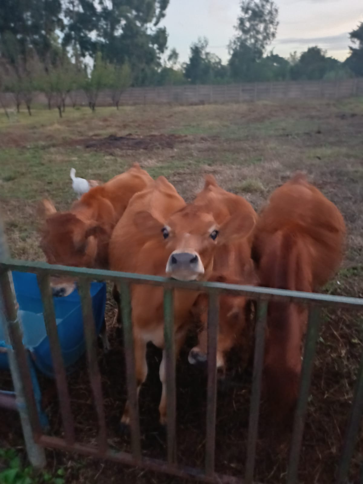 WhatsApp Image 2026-04-24 at 12.51.40.jpeg