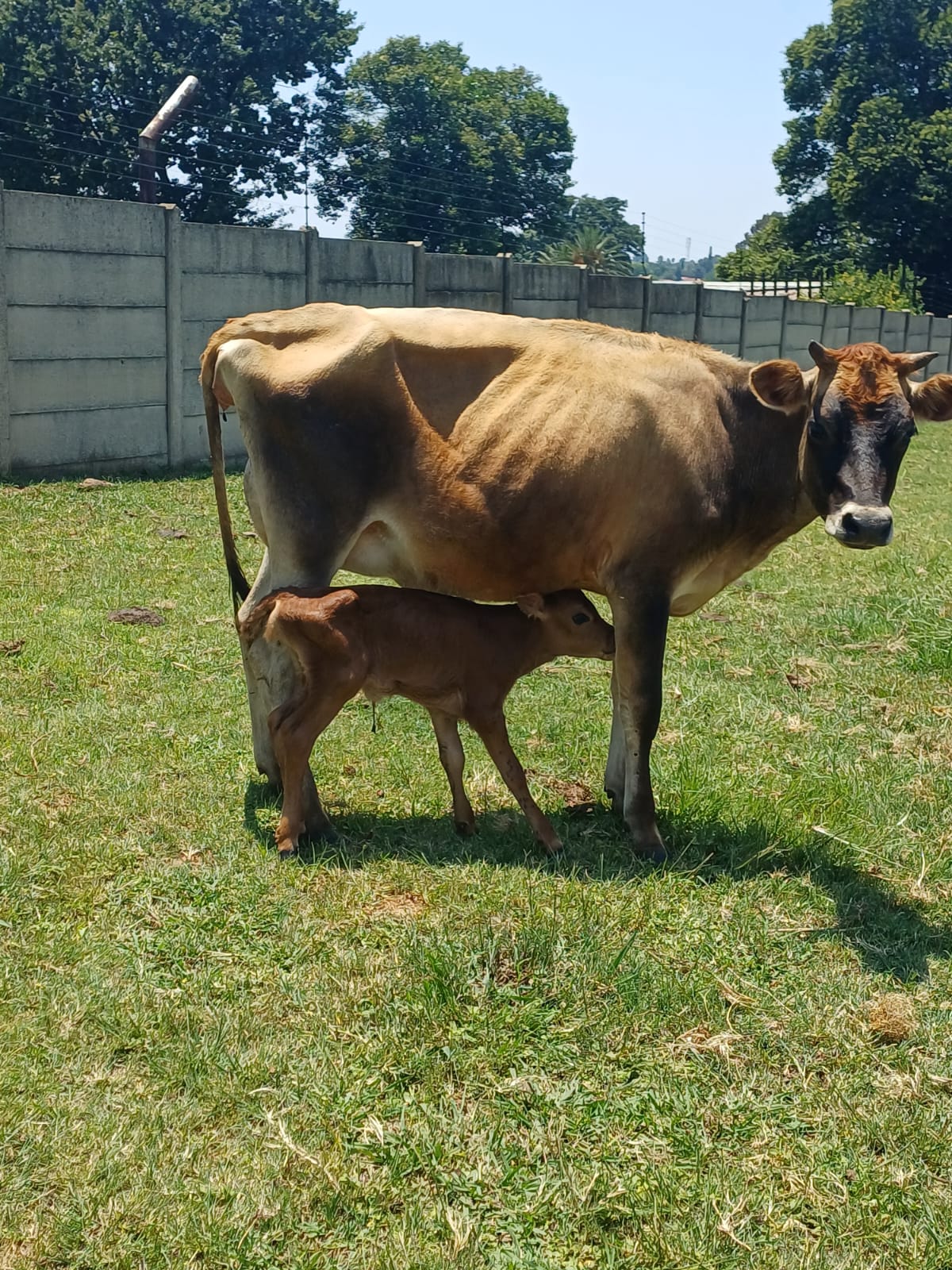 WhatsApp Image 2026-04-24 at 12.51.41.jpeg