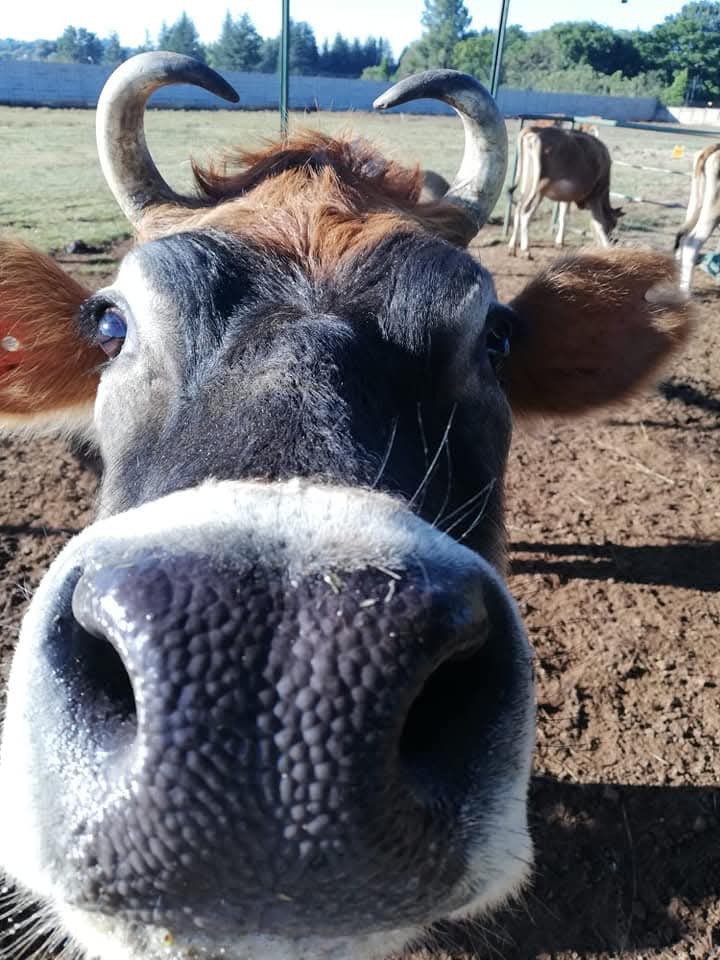 WhatsApp Image 2026-04-24 at 12.51.43 (1).jpeg