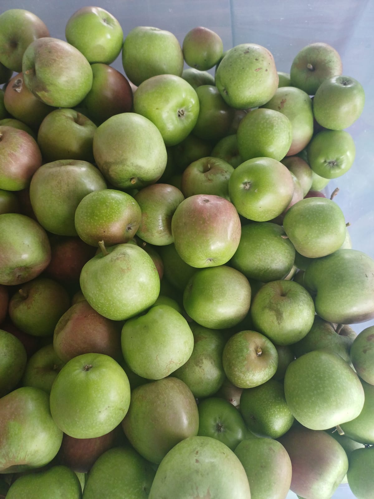 WhatsApp Image 2026-04-24 at 12.51.43.jpeg